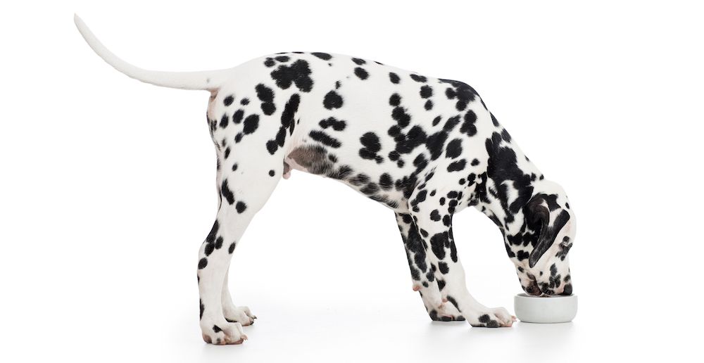 Editorial: October 25, 2024